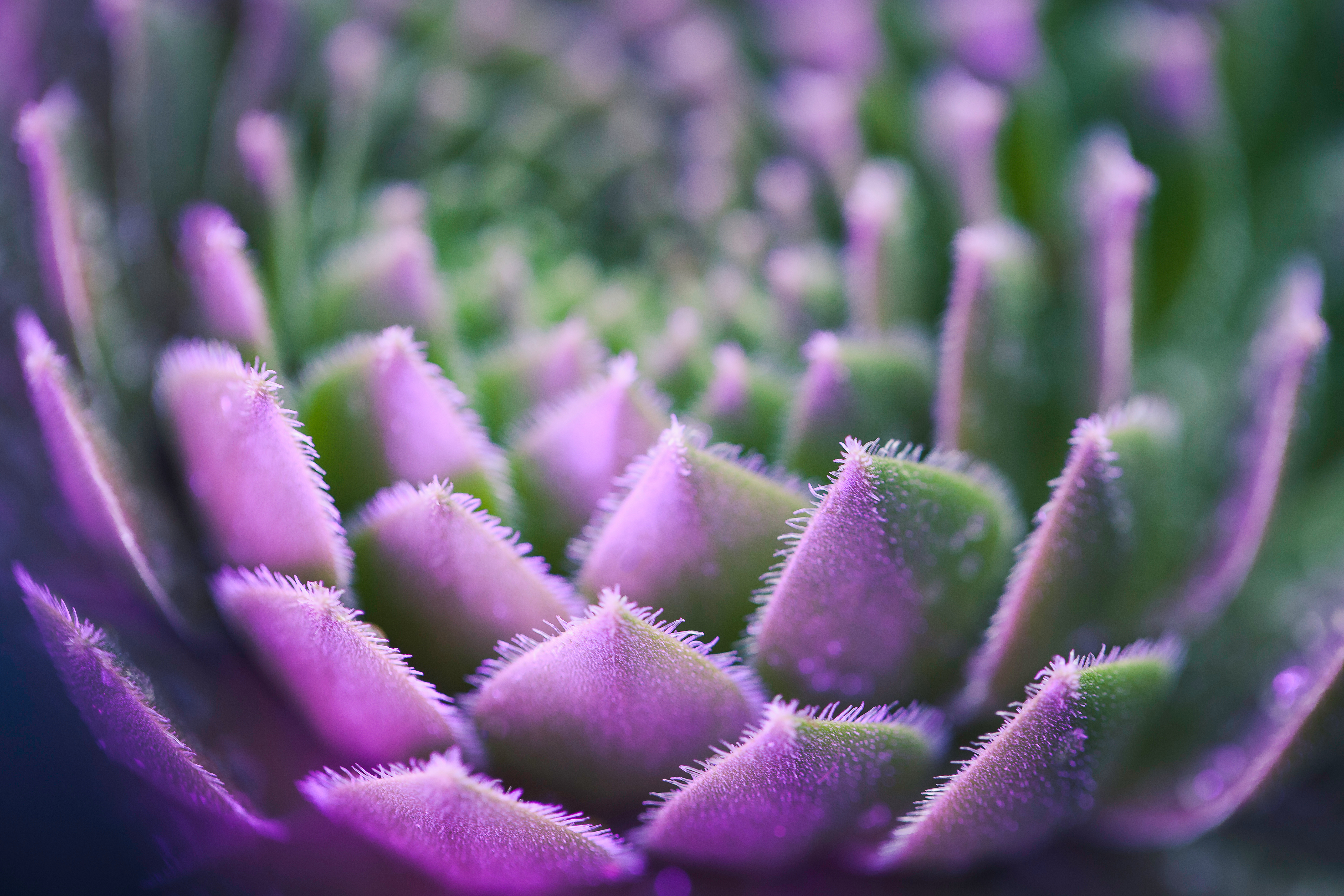 Responsible Business | Wellbeing | Legal Services