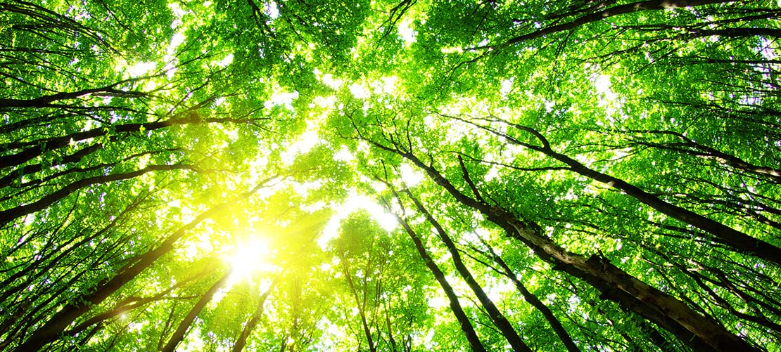 LSE publishes new climate reporting guidance LSE publishes new climate reporting guidance